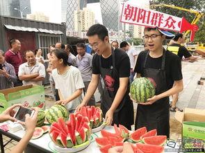 朝阳吃瓜网